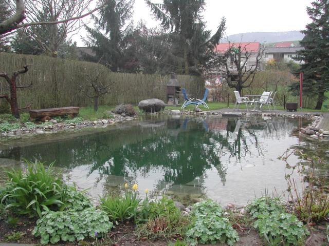 Schwimmteich